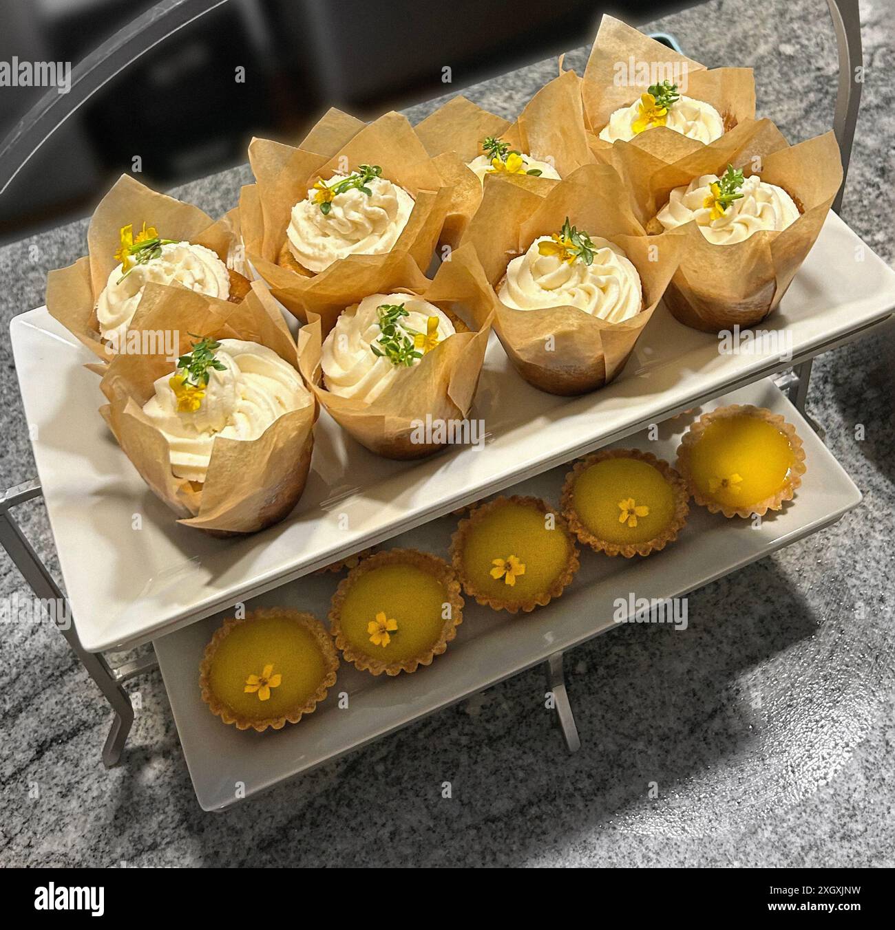 Reihe Pistazien-Cupcakes mit Zitronensauce (oben), Reihe Zitronentörtchen (unten) Stockfoto