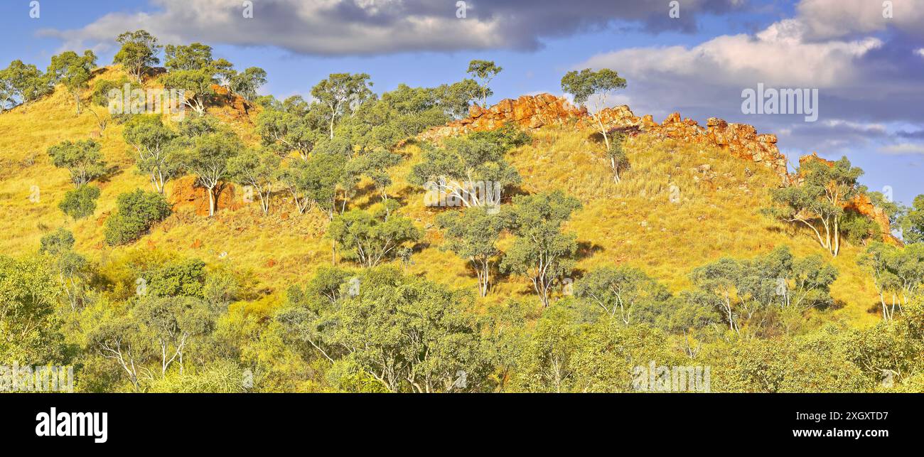 Am späten Nachmittag erleuchtet der rote Felsvorsprung im Spinifex-Gestrüpp mit Eukalyptusbäumen am Chinaman Creek Dam, Cloncurry, Queensland, Australien Stockfoto