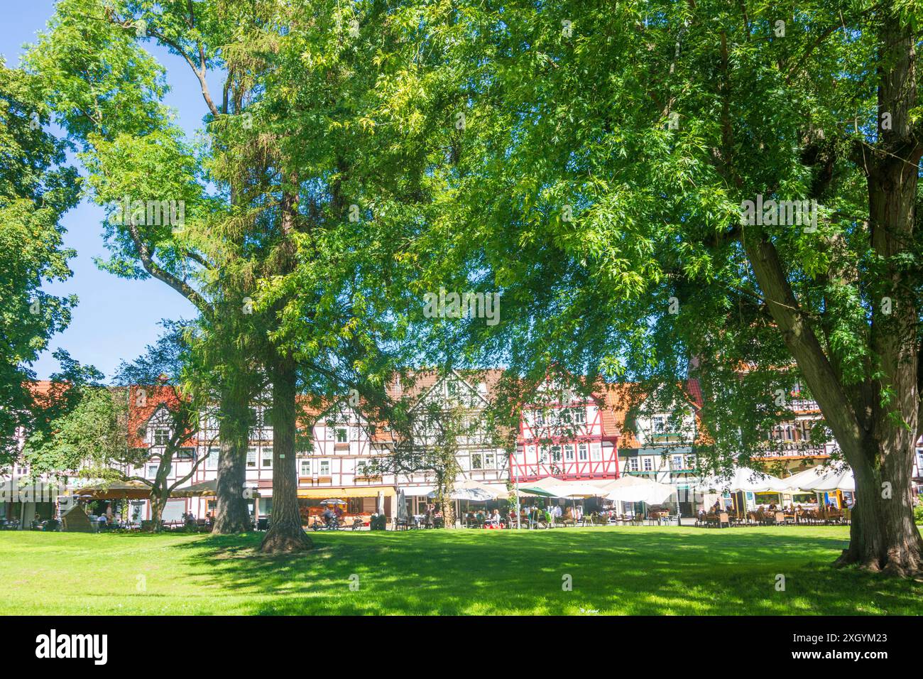 Straße Weinreihe, Park Kurpark in Bad Sooden, Freiluftrestaurant Bad Sooden-Allendorf Nordhessen Hessen, Hessen Deutschland Stockfoto