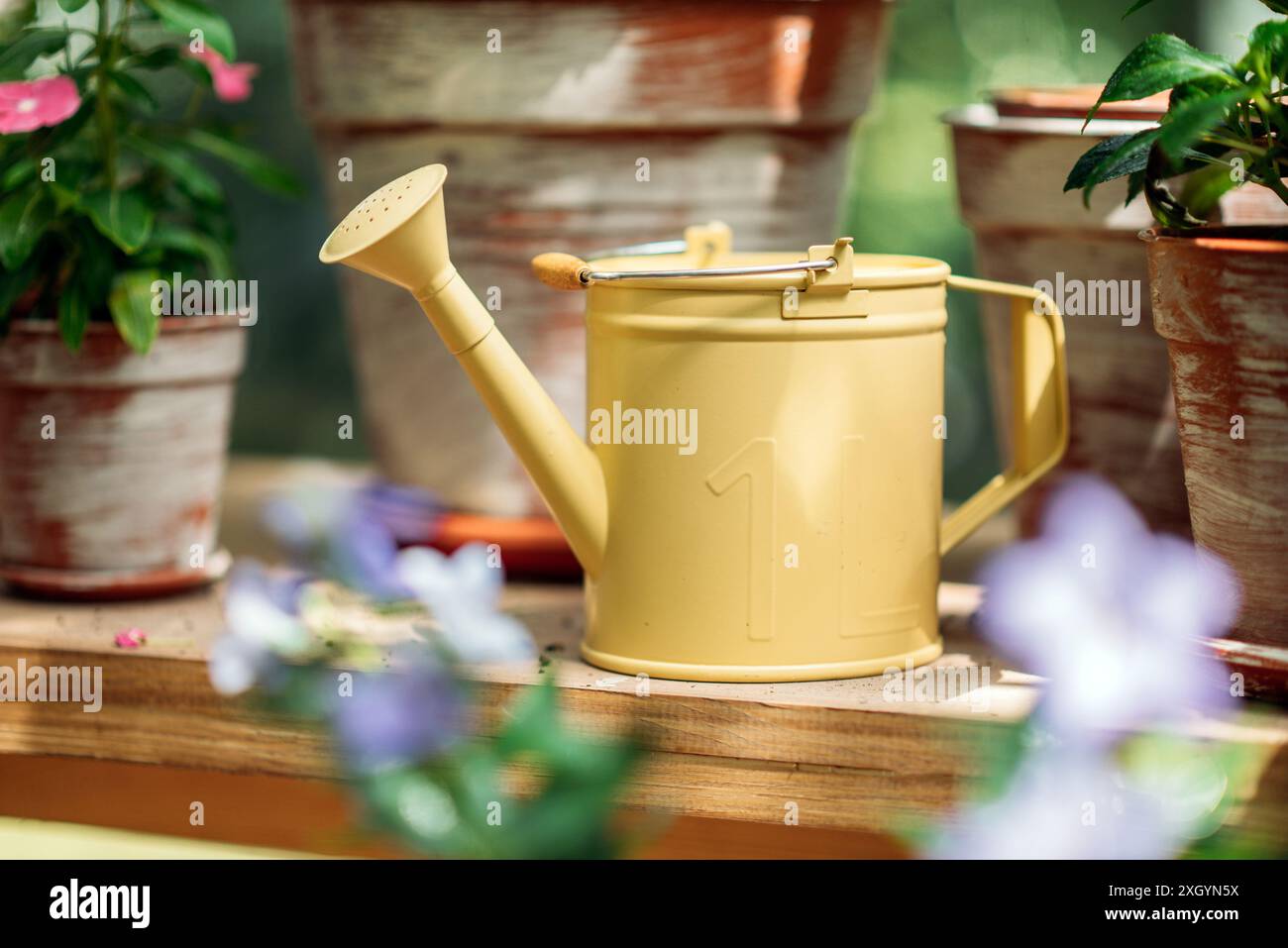 Ein Gärtner-Behälter aus gelbem Metall im Gewächshaus. Stockfoto