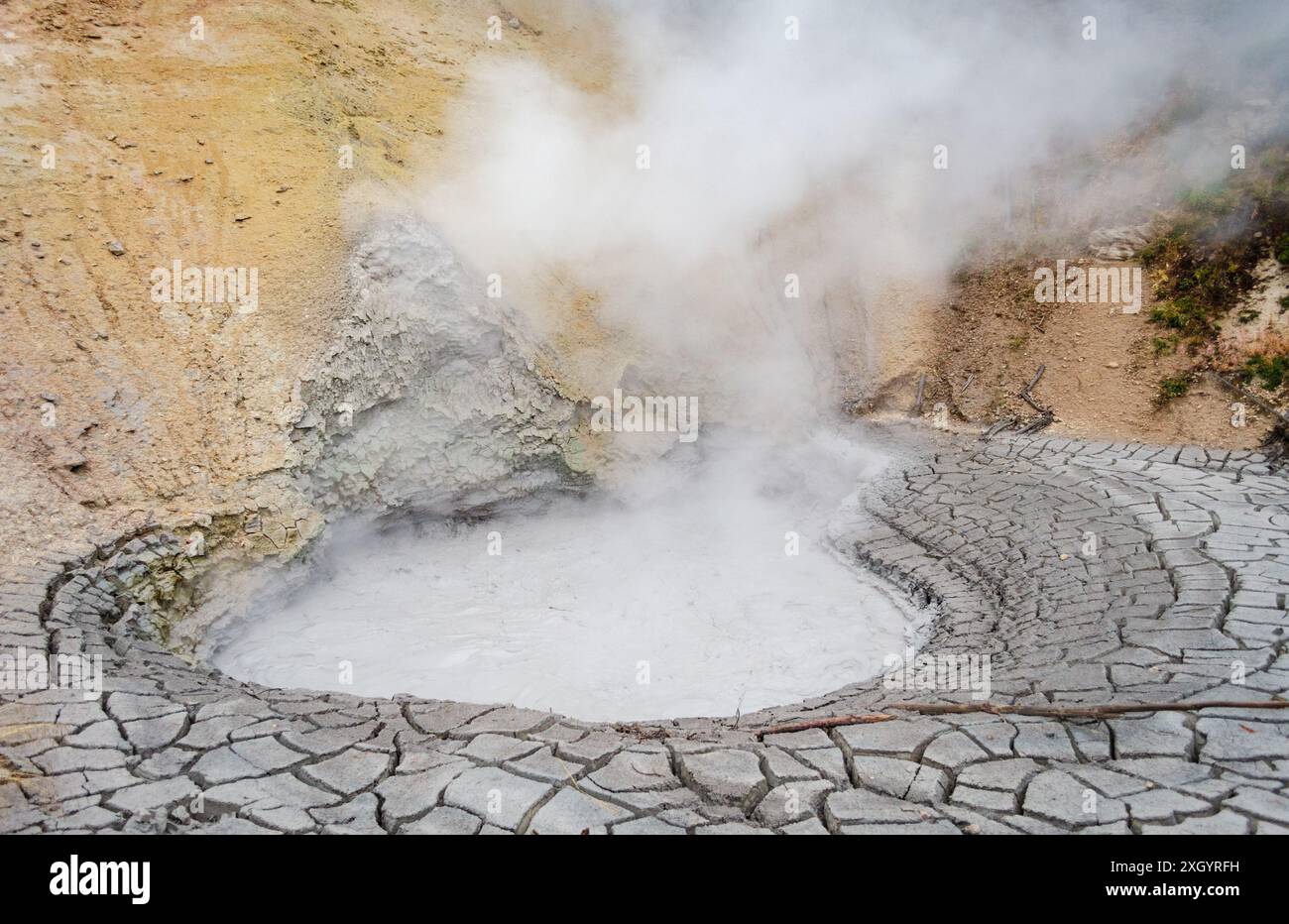Der Mud Volcano im Yellowstone National Park, USA Stockfoto