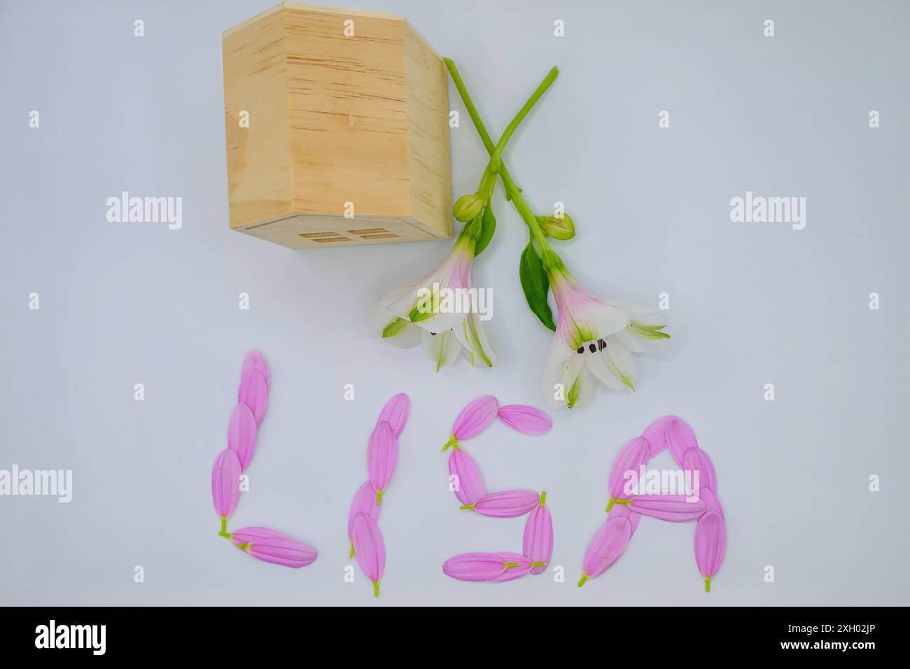 LISA, L I S A, in rosafarbenen Blüten mit zwei Blumen Lebenszeit individuelles Sparkonto, Investition, neues Finanzjahr, mit einem Holzhaus Stockfoto