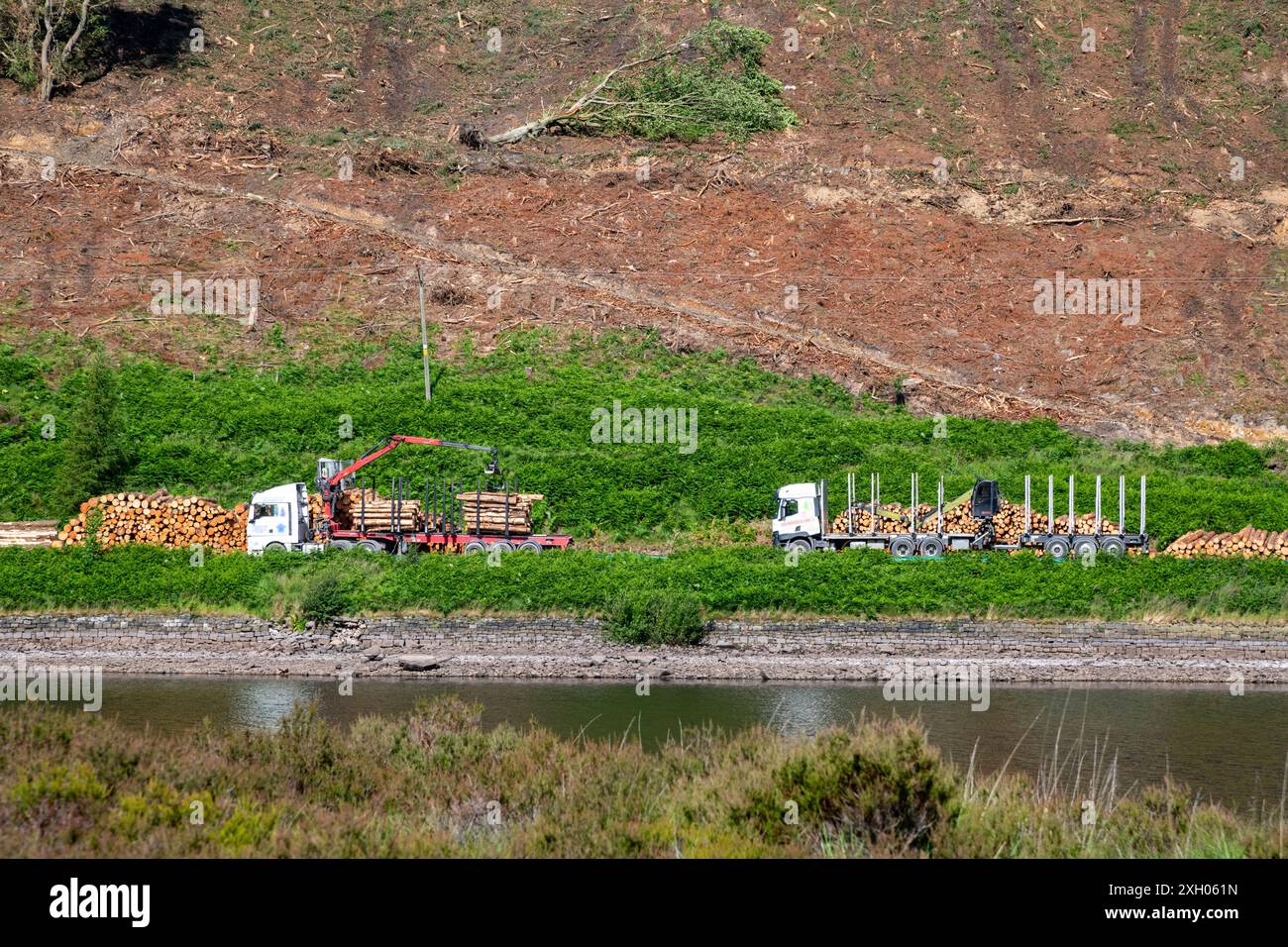 Fahrzeuge, die Holz neben dem Yeoman Hey Stausee in den Hügeln um Saddleworth im Großraum Manchester, England, laden. Stockfoto