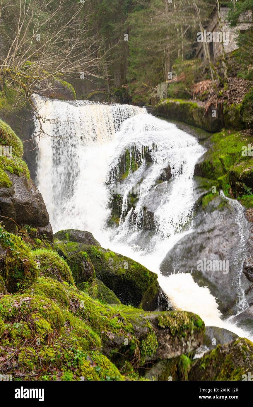 Triberger Wasserfall im Schwarzwald, höchster Wasserfall Deutschlands, Gutach stürzt über sieben große Stufen ins Tal, Holzbrücke Stockfoto