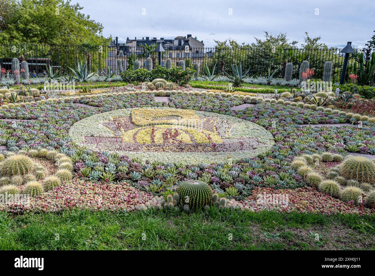 Die berühmte Kaktusgruppe im Carl Johans Park in Norrkoping Strömparken im Frühjahr in Norrköping, Schweden Stockfoto