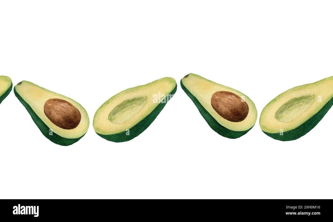 Nahtloser Rand mit Avocadohälften mit Knochen. Aquarellabbildung isoliert auf weißem Hintergrund. Für Karten, Design, Stoff, Textil, Menü, Wrap Stockfoto