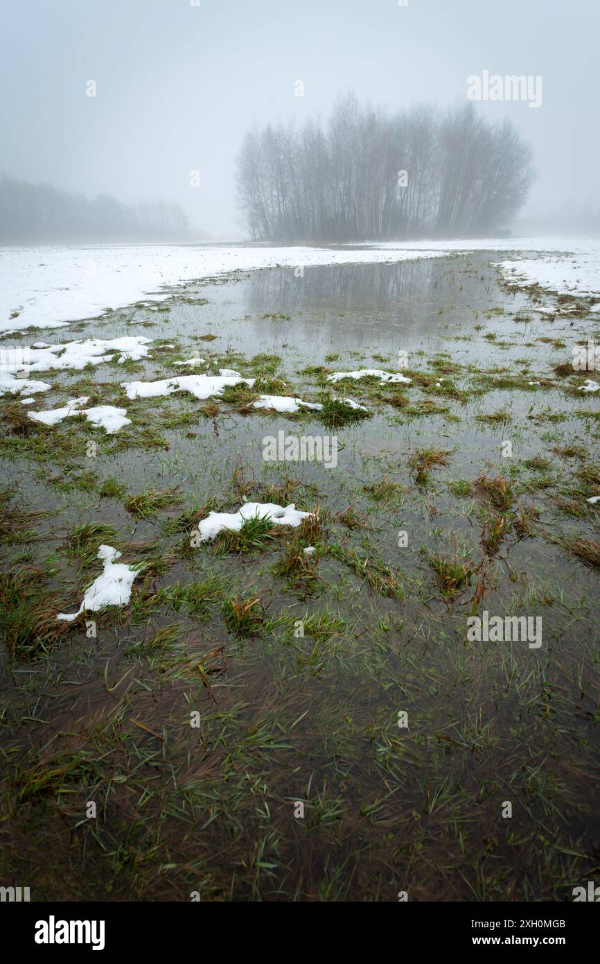 Wasser nach schmelzendem Schnee auf der Wiese und Bäume am Horizont im Nebel, Februartag Stockfoto