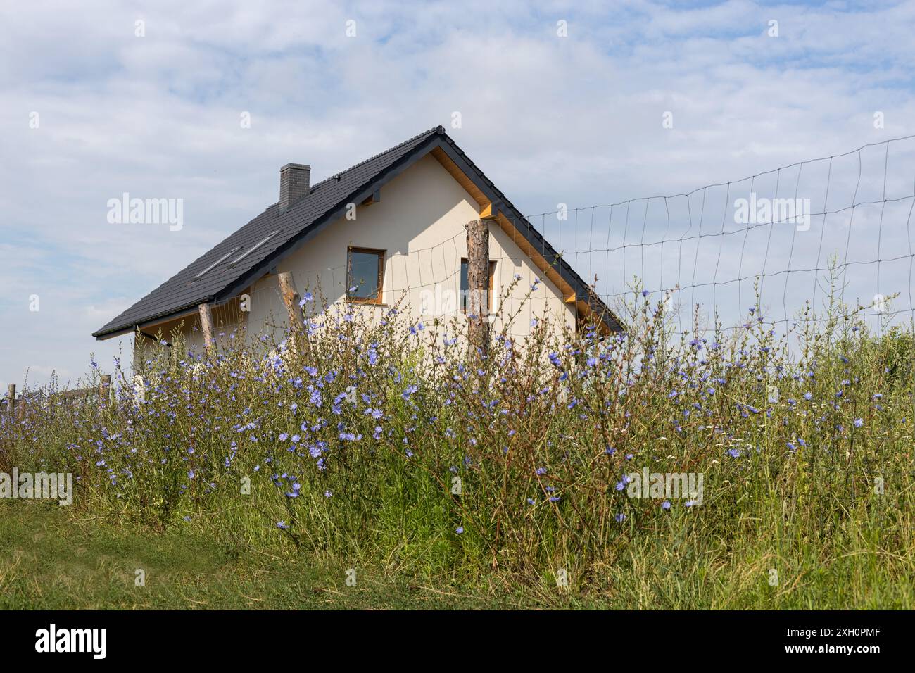 Modernes Haus in ländlicher Umgebung mit Wildblumen Stockfoto