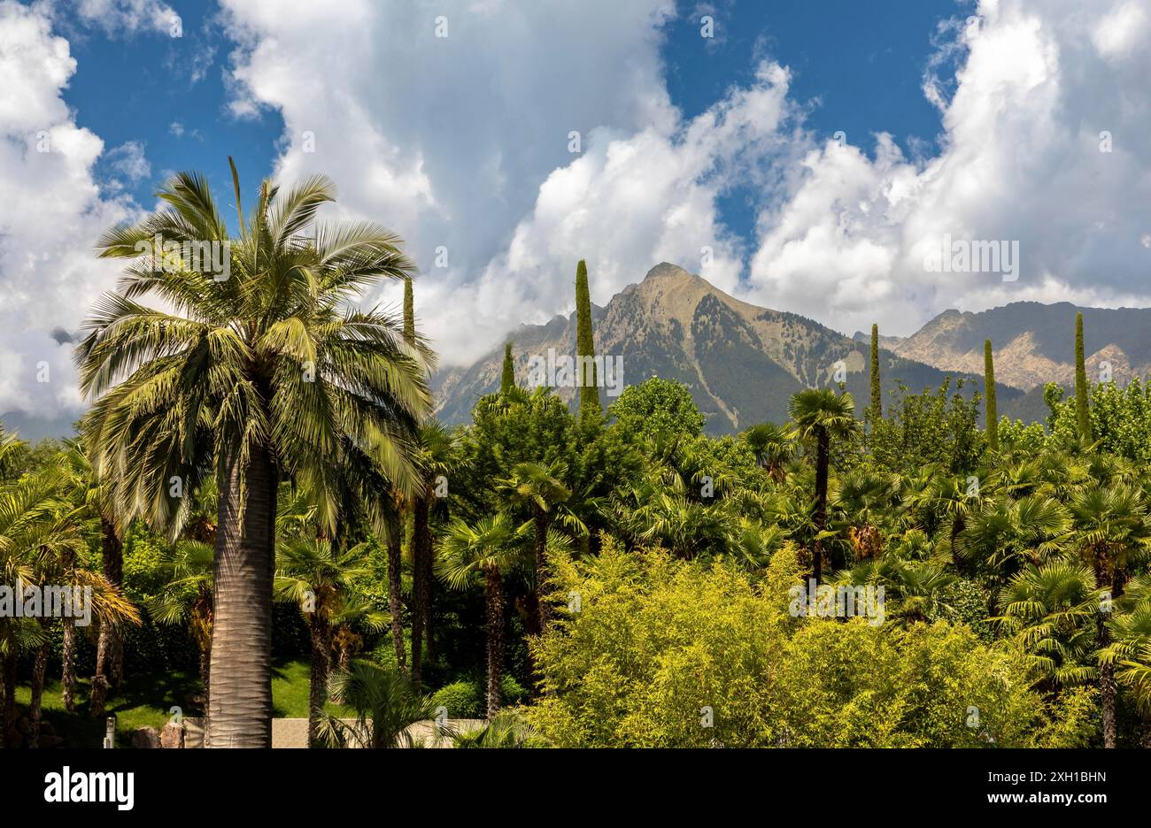 Garten des Schlosses Trauttmansdorff bei Meran, Südtirol Stockfoto