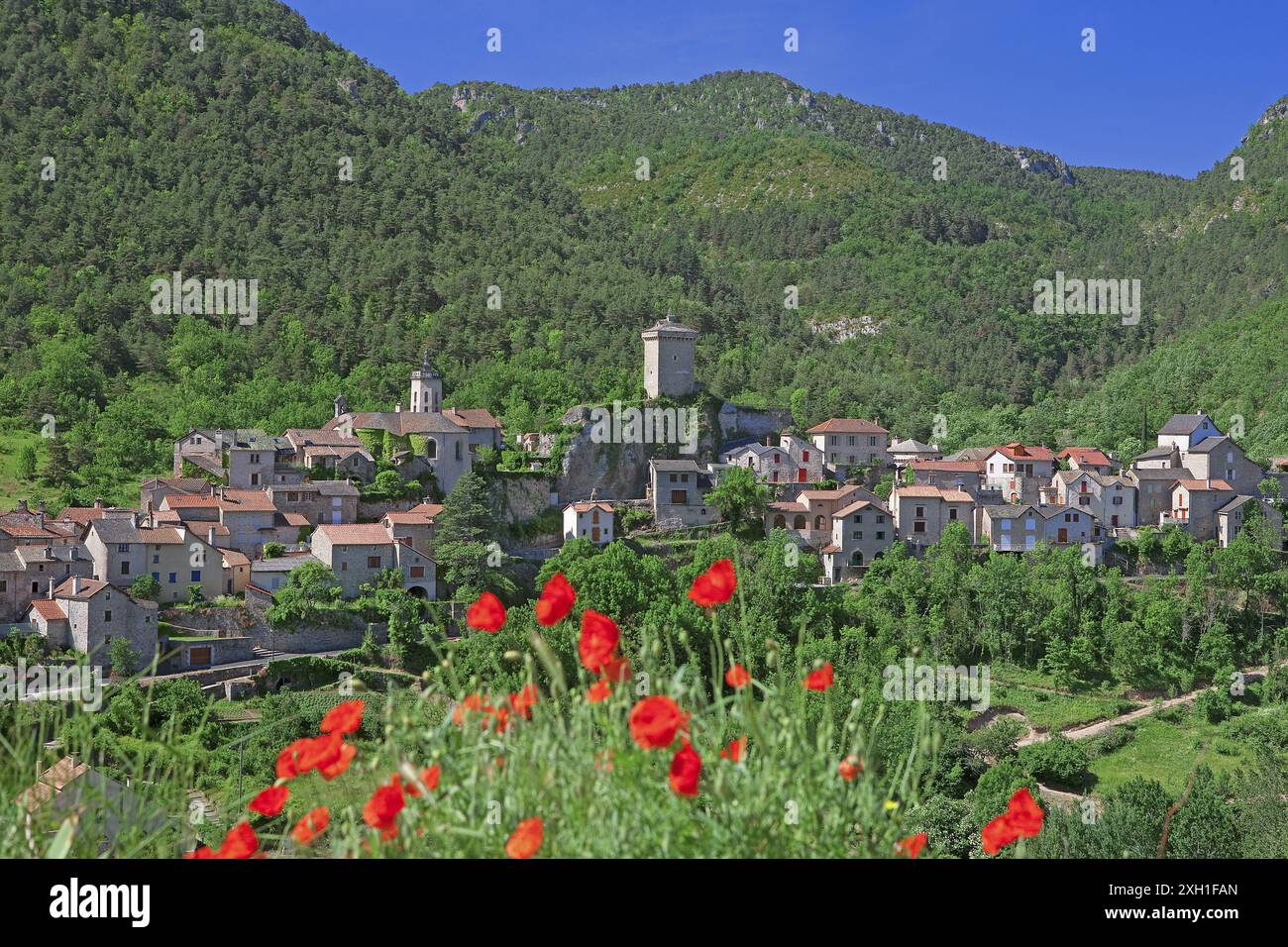 Frankreich, Aveyron Peyreleau, Dorf der Gorges du Tarn, lehnt sich gegen die schwarze causse Stockfoto