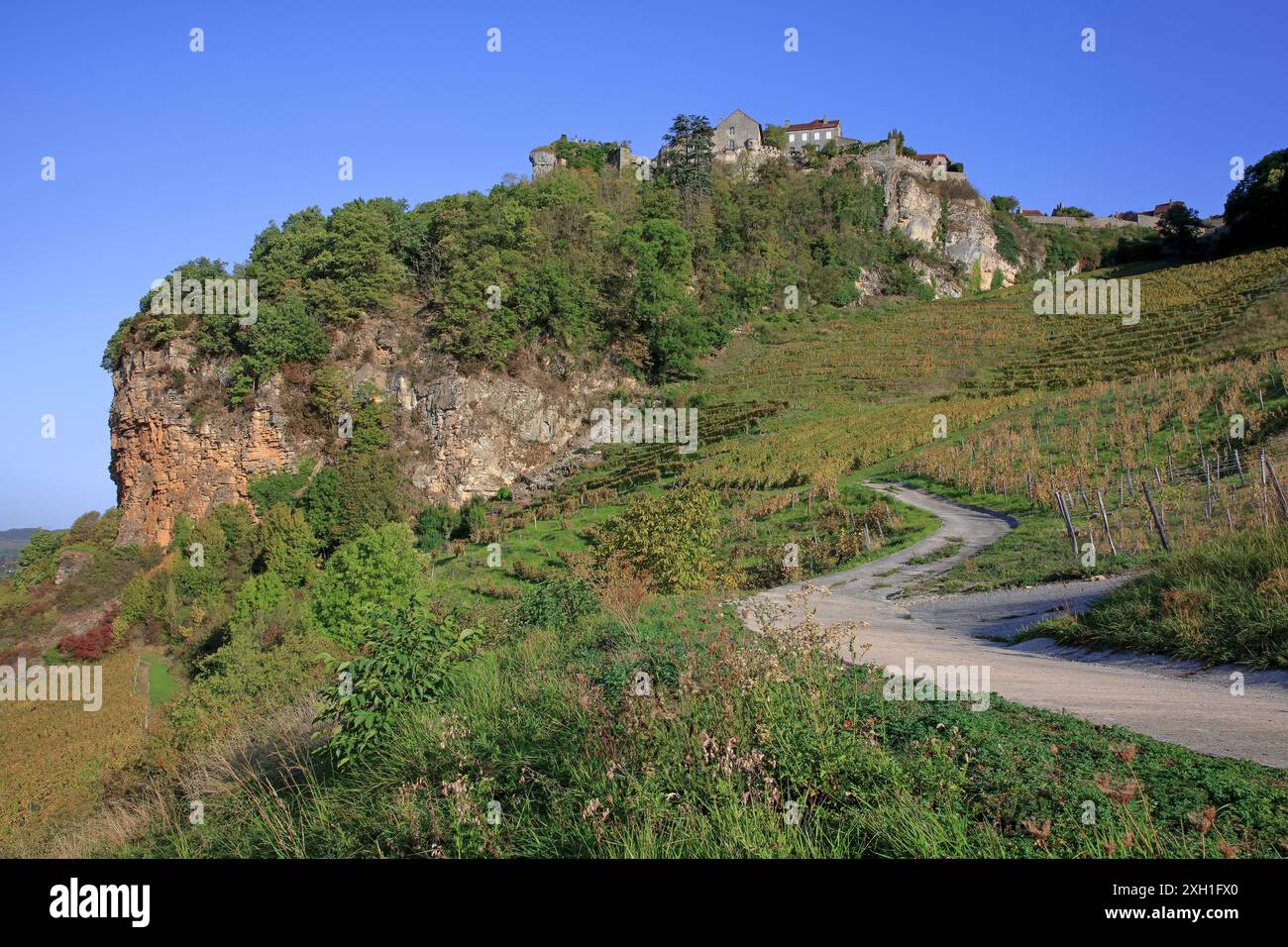 Frankreich, Jura, Château-Chalon, Weinberg, Côtes du Jura, vin de Paille, vin Jaune Stockfoto