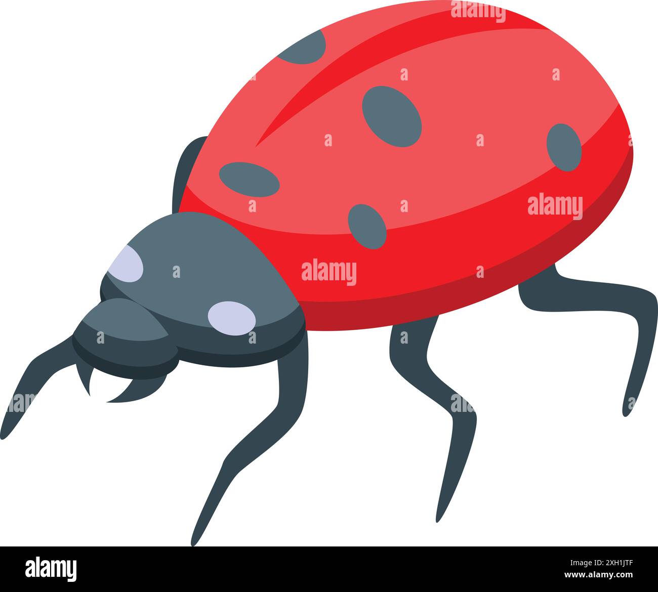 Der rote Marienkäfer läuft auf sechs Beinen mit schwarzen Flecken auf dem Rücken Stock Vektor