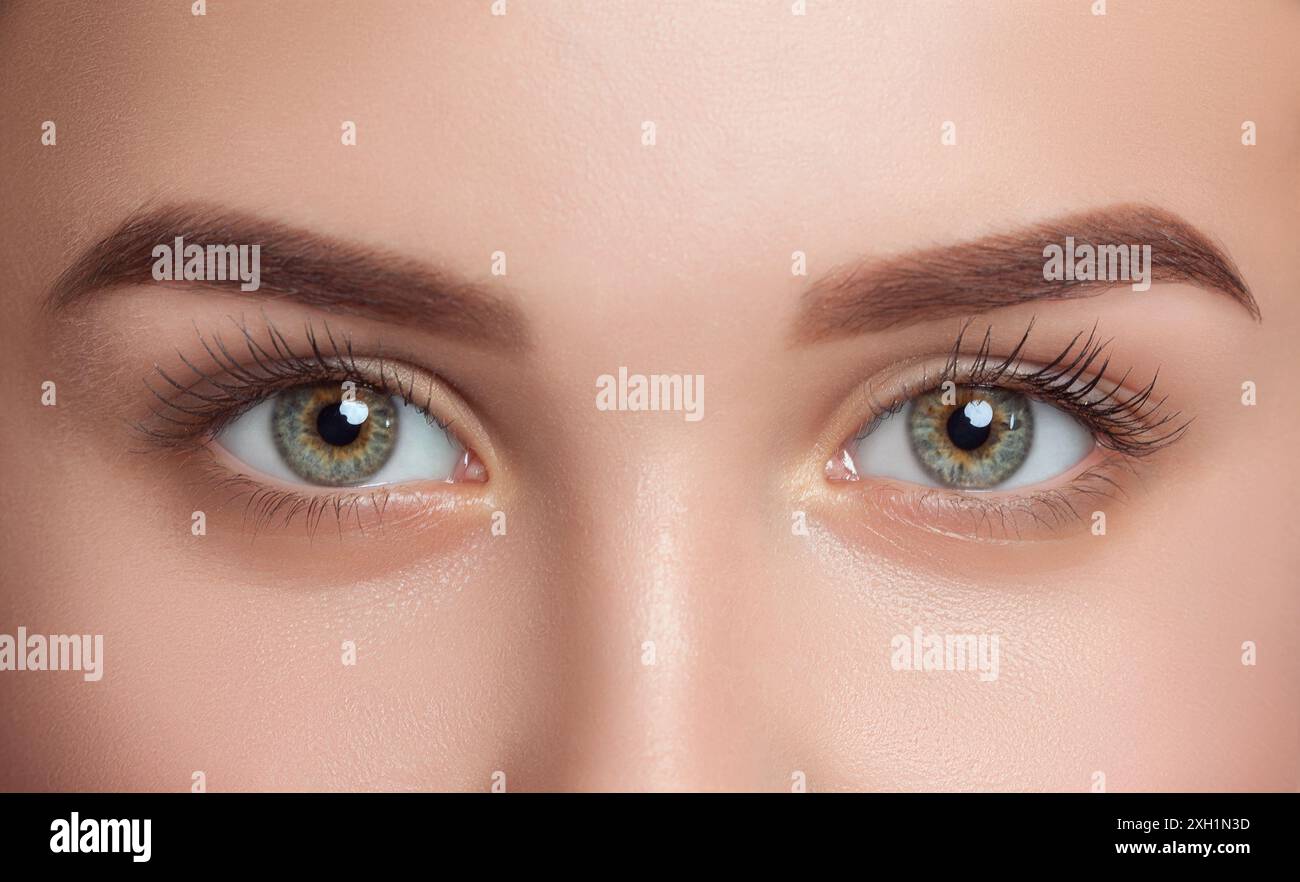 Schöne Frau mit langen Wimpern, wunderschönem Make-up und dicken Augenbrauen. Schöne blaue Augen aus der Nähe. Blick auf die Kamera. Professionelles Make-up und Stockfoto