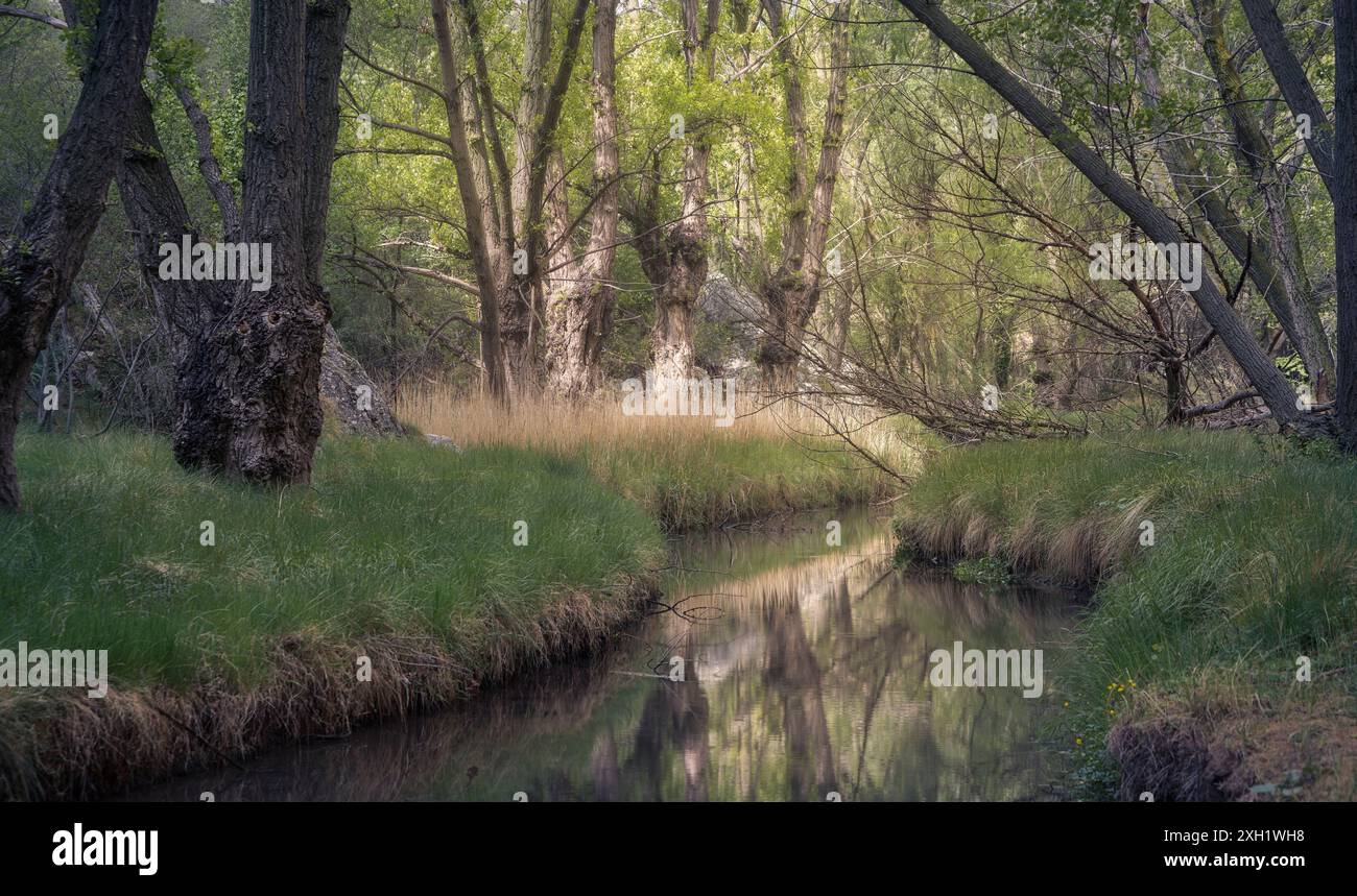Ruhiger Blick auf den Aliaga-Flussweg in Teruel, Spanien, umgeben von üppigem Grün und ruhiger Natur. Ideal für Natur- und Reisekonzepte. Stockfoto