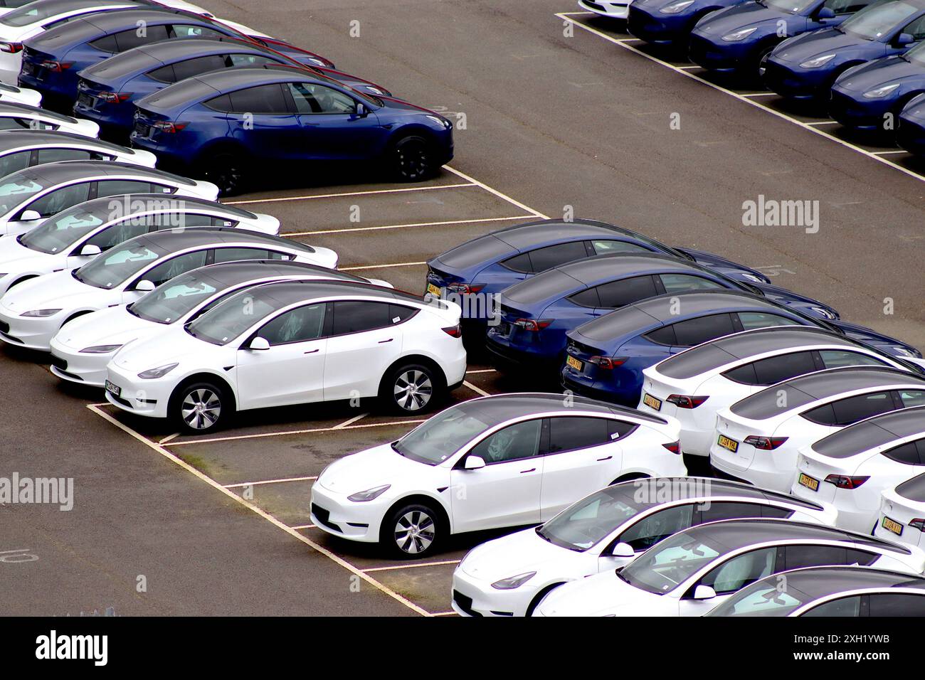 Jede Farbe, die Sie mögen, solange sie weiß oder blau ist! Linien von geparkten Tesla Elektroautos, die auf den Vertrieb und die Lieferung an Tesla UK-Zentren warten. Stockfoto