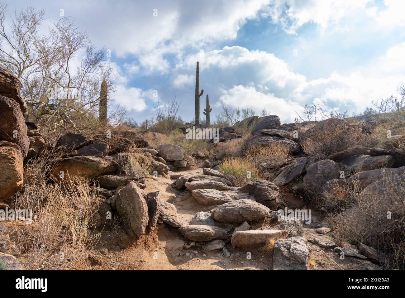 Große Felsbrocken entlang des Mormon Trail im South Mountain Park Preserve in Phoenix, Arizona Stockfoto