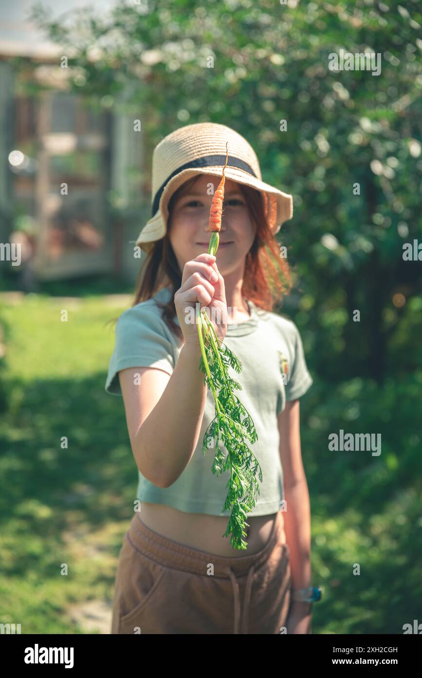 Ein Mädchen hält eine frisch gepflückte kleine Karotte in der Hand. Landwirtschaft, Gartenbau, Ernte, gesunde frische Lebensmittel Stockfoto