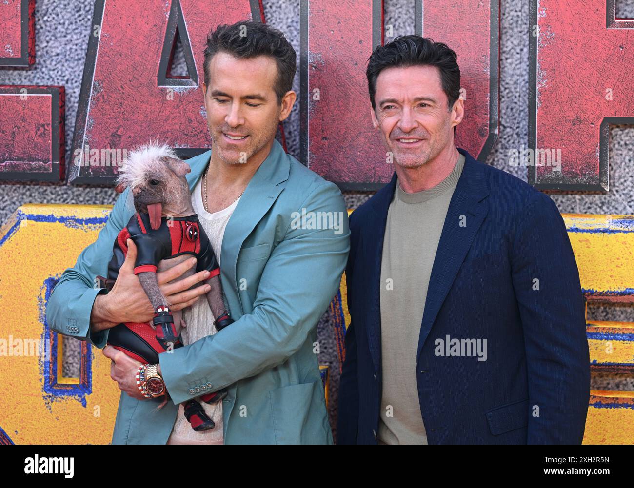 London, Großbritannien. Juli 2024. Hugh Jackman, Ryan Reynolds und Peggy aka Dogpool kommen beim Deadpool & Wolverine UK Sneak Peek Event, Hammersmith Eventim Apollo an. Quelle: Doug Peters/EMPICS/Alamy Live News Stockfoto