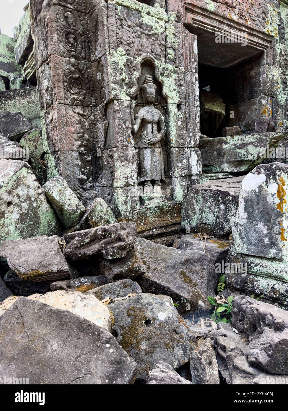 TA Prohm Tempel, ein Mahayana-buddhistisches Kloster, das Ende des 12. Jahrhunderts für den Khmer-König Jayavarman VII. In Kambodscha erbaut wurde. Stockfoto