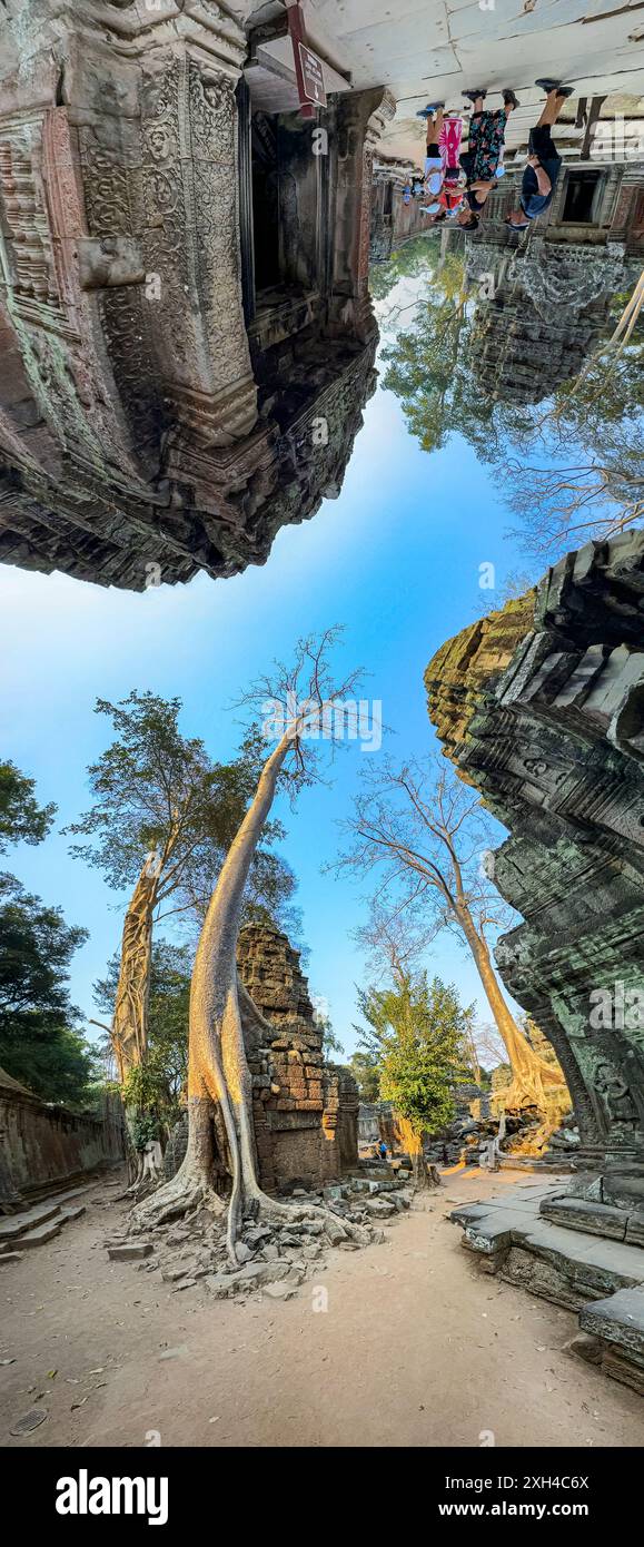 TA Prohm Tempel, ein Mahayana-buddhistisches Kloster, das Ende des 12. Jahrhunderts für den Khmer-König Jayavarman VII. In Kambodscha erbaut wurde. Stockfoto