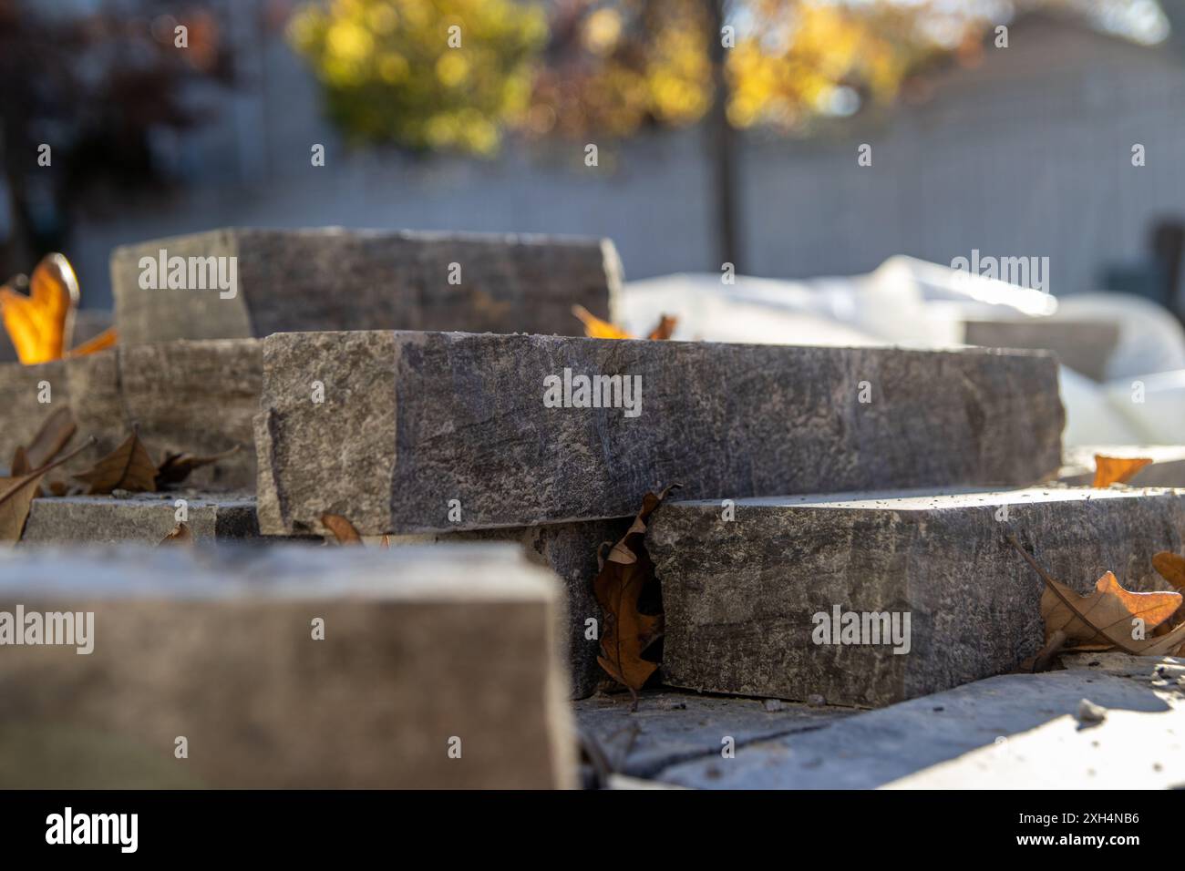 Herbstlaub eingebettet zwischen verwitterten Steinziegeln - warmes Sonnenlicht, ruhige Hinterhoflage. Aufgenommen in Toronto, Kanada. Stockfoto