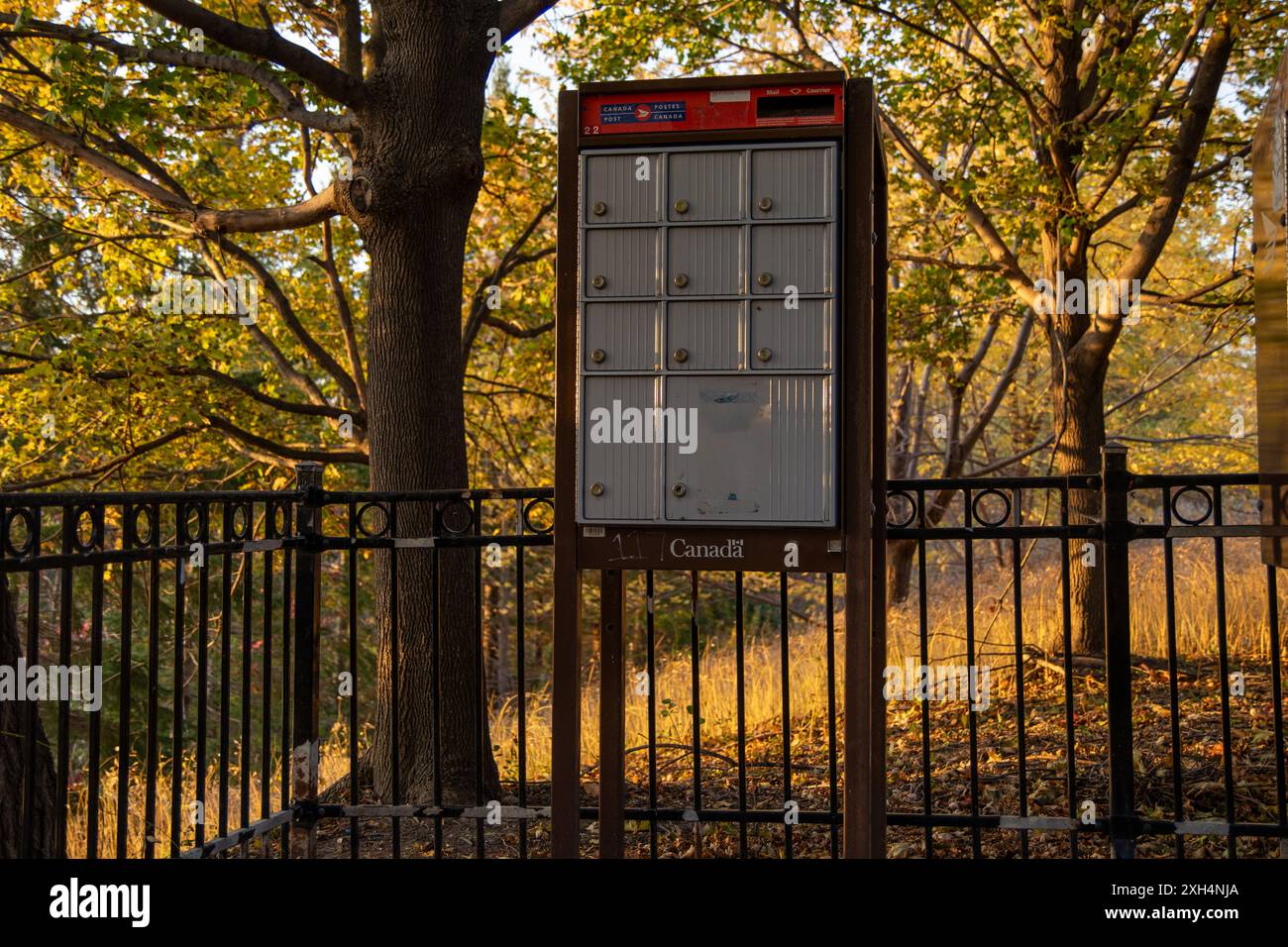 Briefkasten der Canada Post - Golden Hour Beleuchtung - stabiler schwarzer Eisenzaun - ruhige, ungestörte Natur. Aufgenommen in Toronto, Kanada. Stockfoto