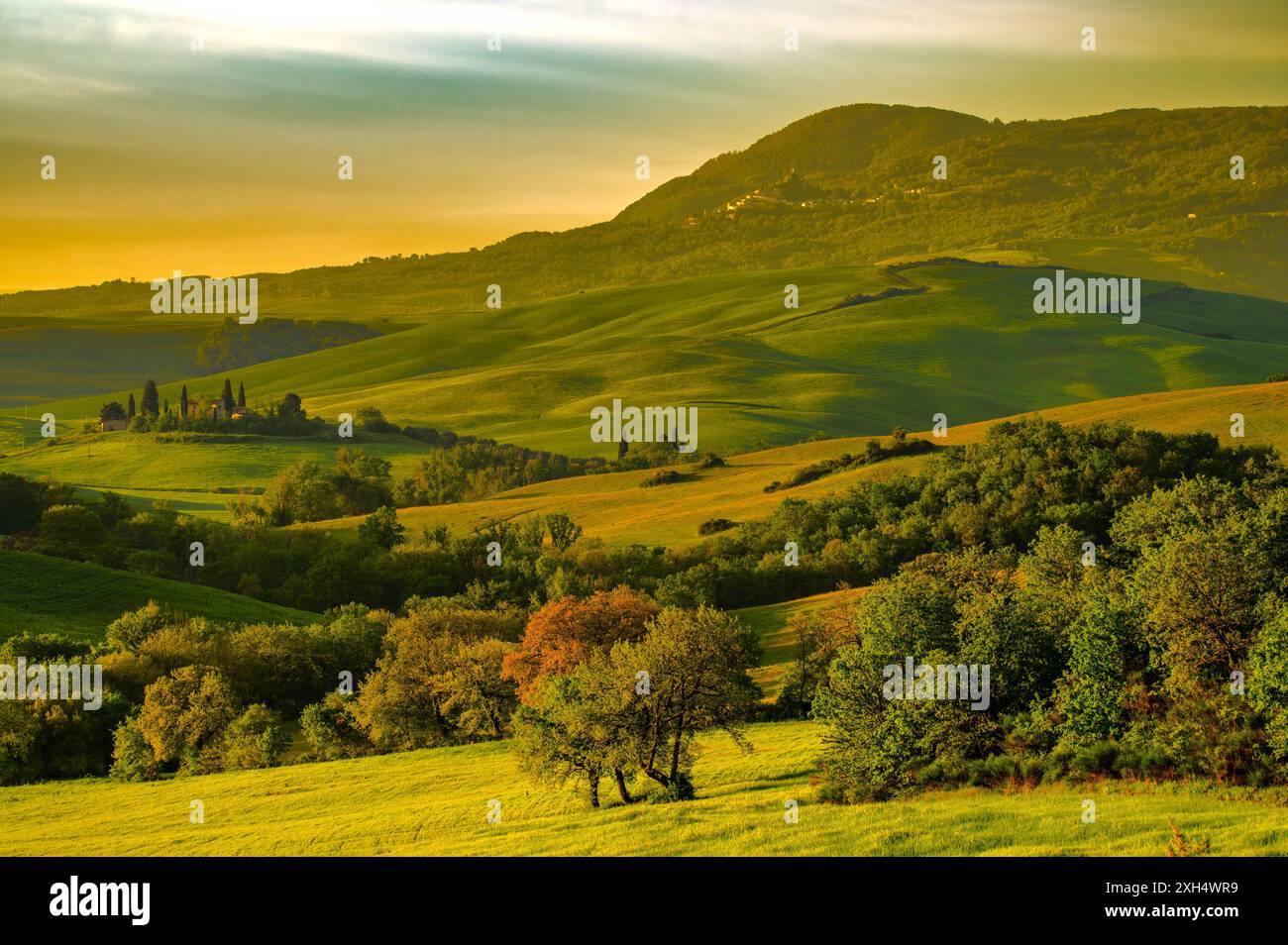 Die Schönheit der Natur. Stockfoto