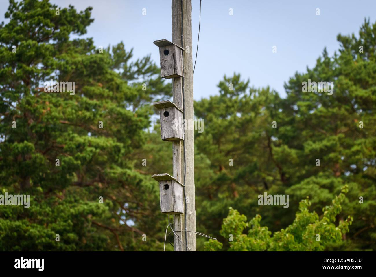 Foto mit selektivem Fokus. Hölzerne Vogelhäuser hängen an Holzpfosten. Stockfoto