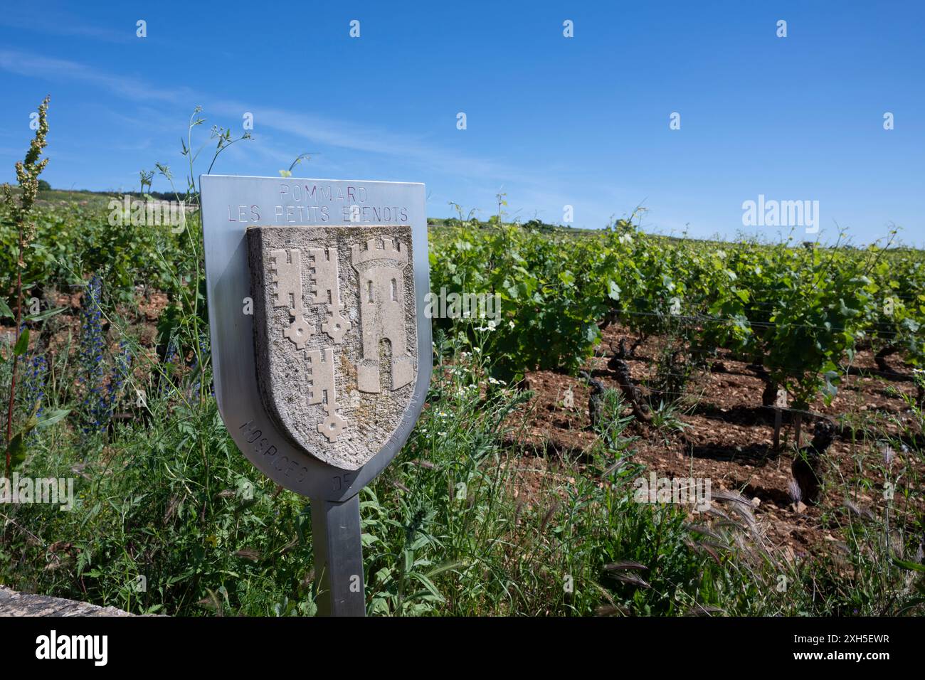 Pommard, Les Petits Epenots, Hospices de Beaune, Weinberg-Schild, Burgund Frankreich. Stockfoto