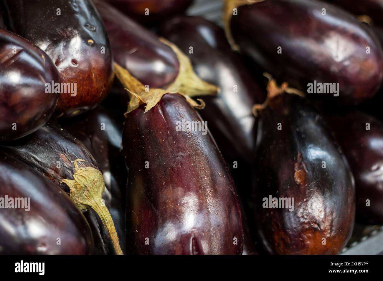 Ein Stapel violetter Auberginen, die ordentlich angeordnet sind und ihre lebendige Farbe und Frische zum Ausdruck bringen, können als Zutat in einer Vielzahl von Gerichten verwendet werden Stockfoto