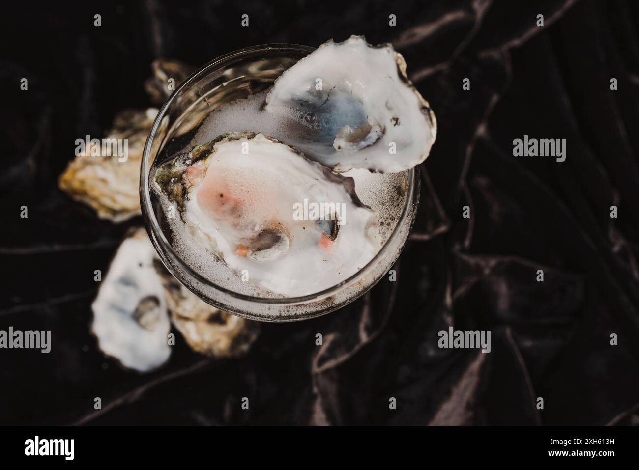 Fresh oysters in a coupe on a dark background. Stockfoto