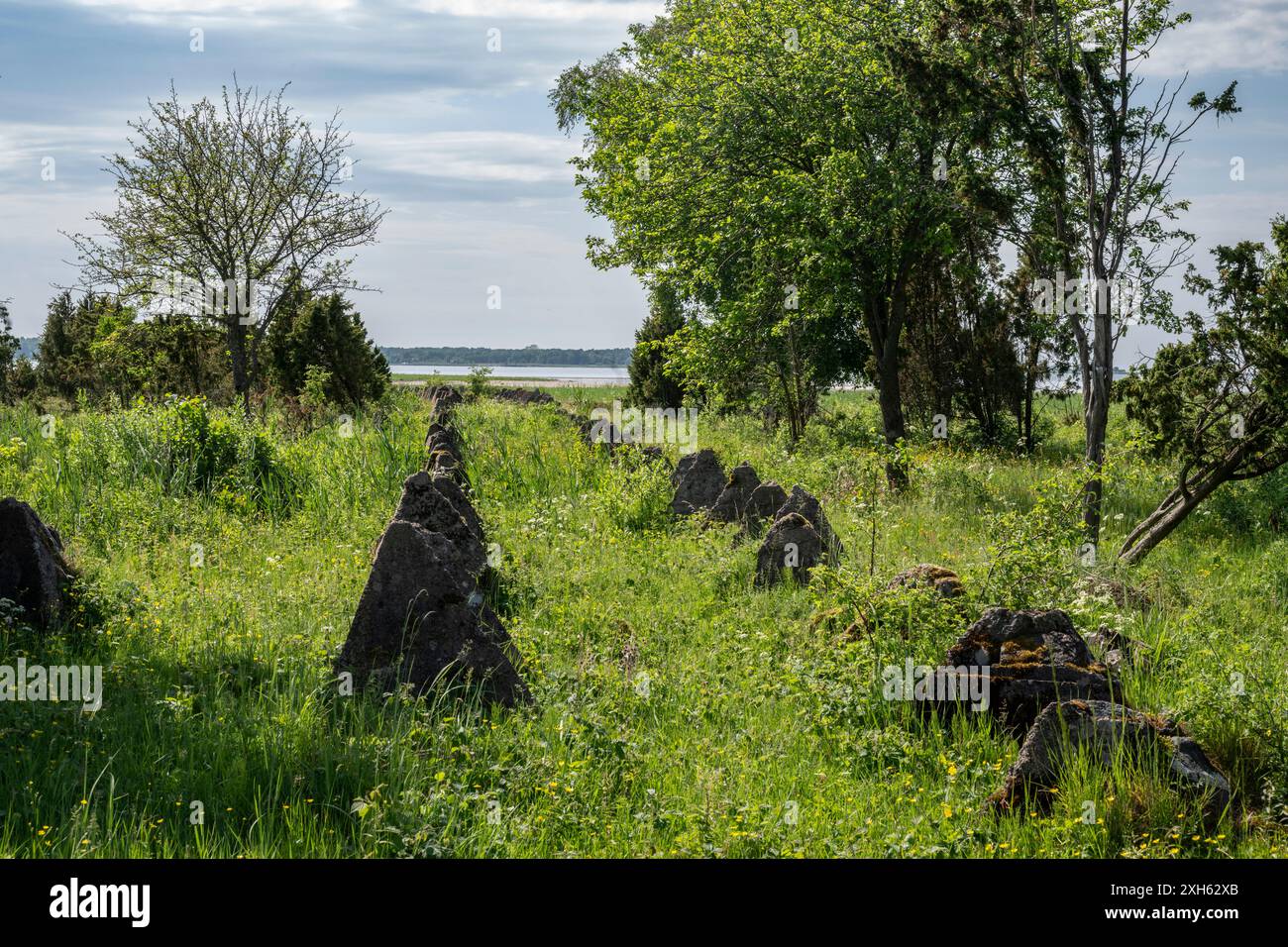 Alte sowjetische Panzerfalle, Estland Stockfoto