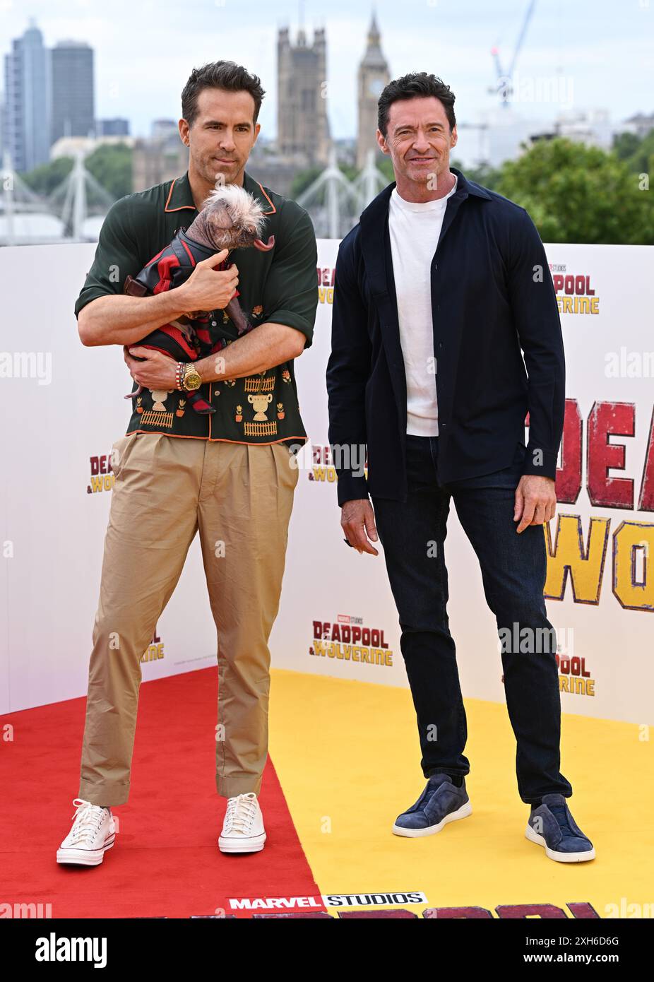 London, Großbritannien. Juli 2024. Ryan Reynolds, Peggy der Hund und Hugh Jackman beim Deadpool & Wolverine UK Photocall. Quelle: Doug Peters/EMPICS/Alamy Live News Stockfoto
