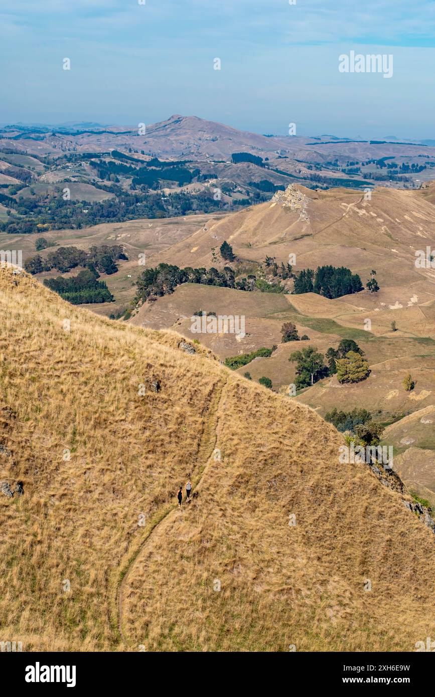 Menschen, die alleine auf einem der vielen Wanderwege rund um und unter dem Te Mata Peak in der Nähe der Hawkes Bay auf der Nordinsel Neuseelands wandern und wandern Stockfoto