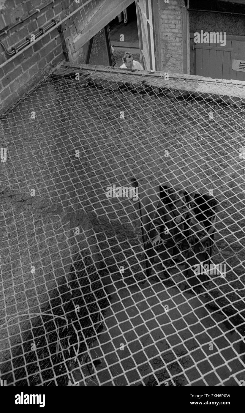 DDR, Potsdam, 13.05.1990, Linden Hotel - Haus für alle, Rundgang, ehemaliges Stasi-Gefängnis in Potsdam, Zelle, [automatisierte Übersetzung] Stockfoto