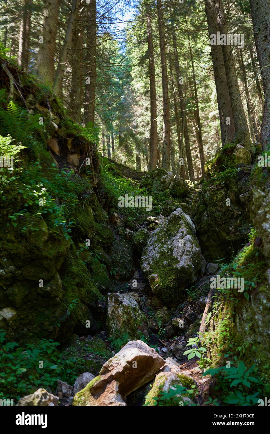 Ausgetrockneter Flussbett in den hohen Bergen, bei Dürrezeiten Stockfoto