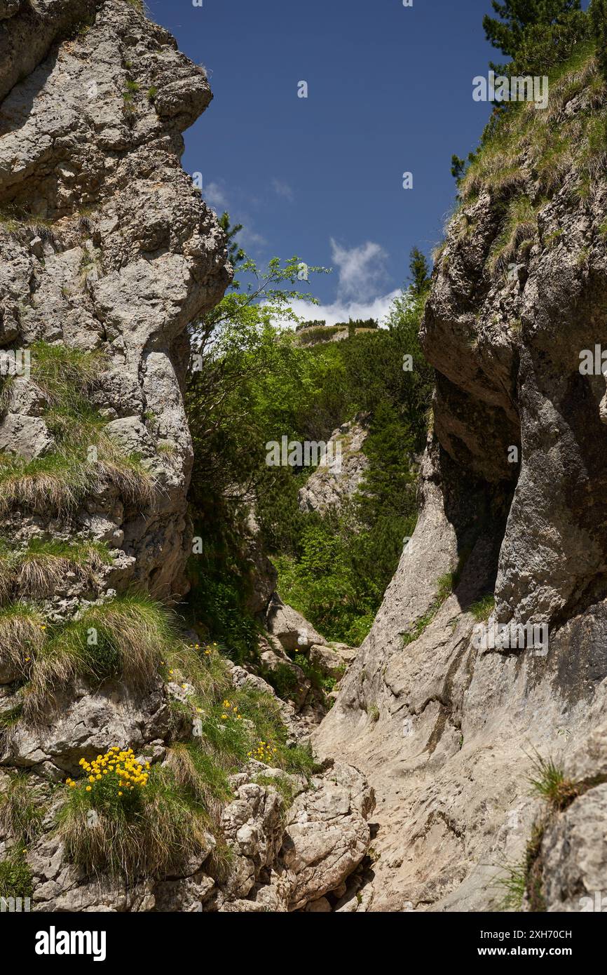 Ausgetrockneter Flussbett in den hohen Bergen, bei Dürrezeiten Stockfoto