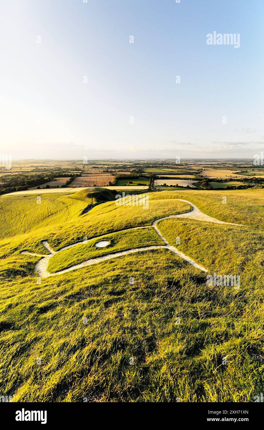 Uffington White Horse. Prähistorische Bronzezeitalter Hügel Kreidefigur Oxfordshire, England. Über Kopf, Augen, Ohren und Hals hautnah Stockfoto