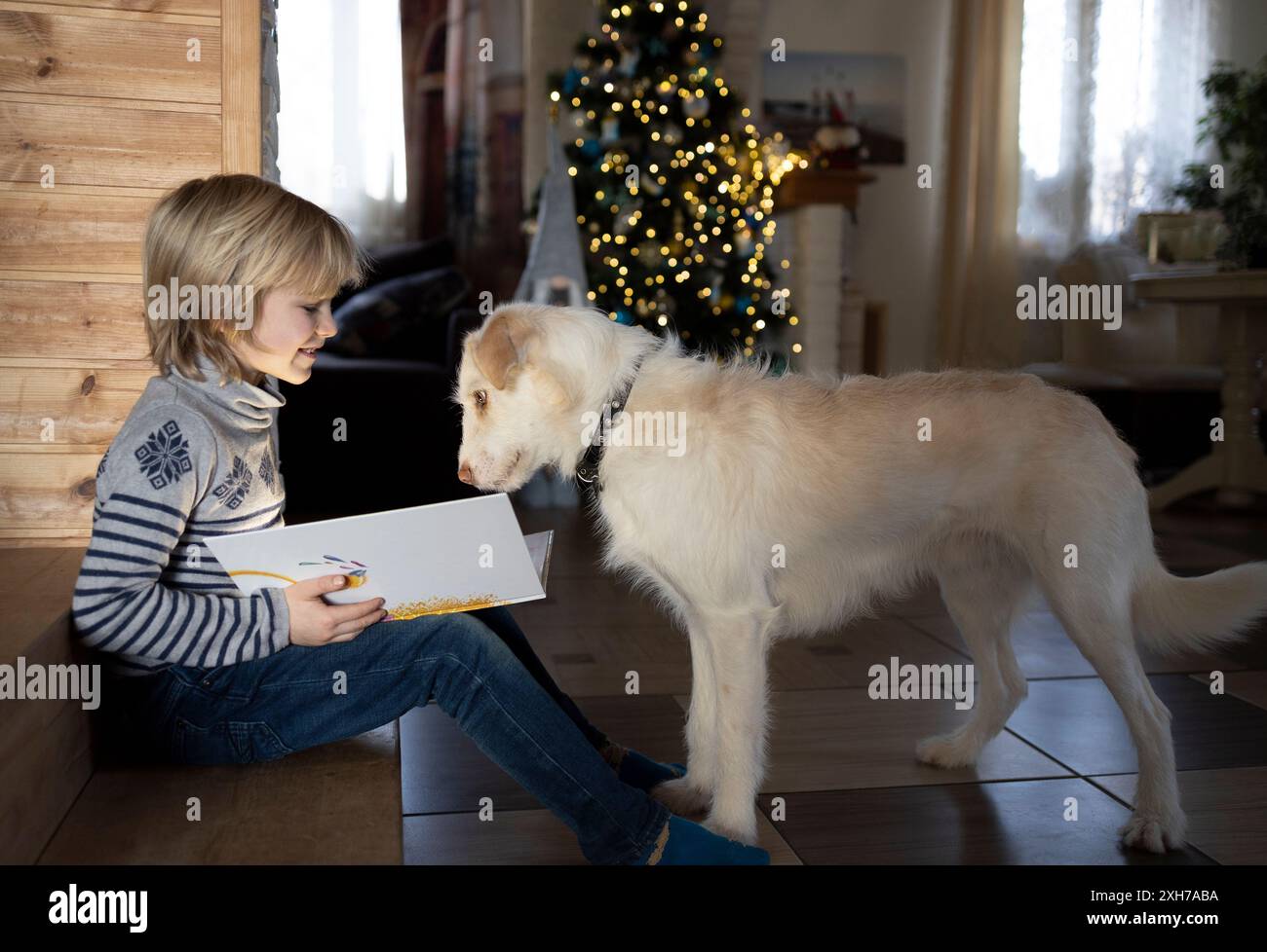 Fröhlicher Junge in Pullover und Jeans und ein weißer Hund gegenüber in einem Zimmer zu Hause vor einem Weihnachtsbaum. Das Konzept einer glücklichen Beziehung zwischen Stockfoto