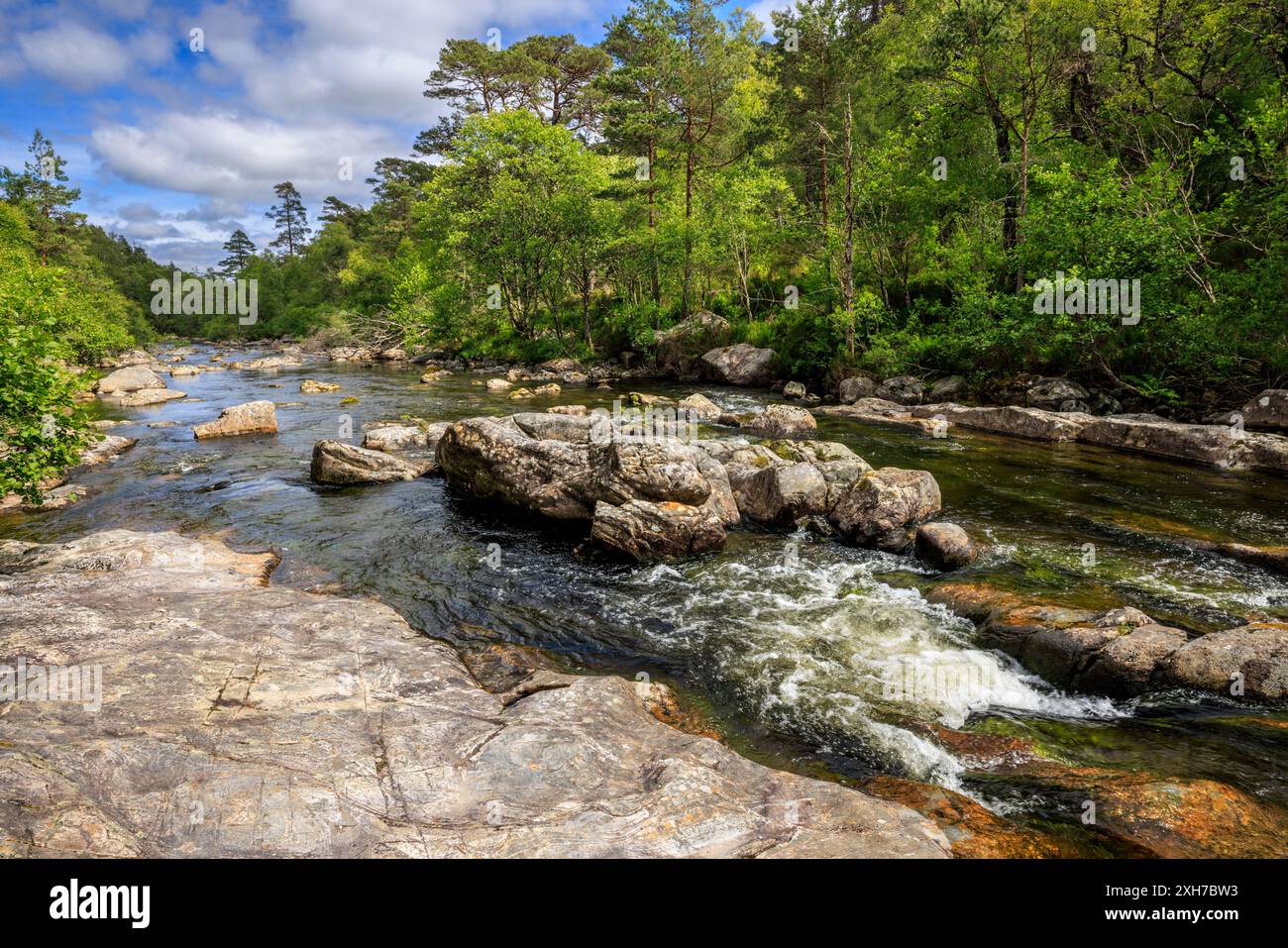 Der Fluss Affric fließt durch Glen Affric, Inverness, Schottland Stockfoto