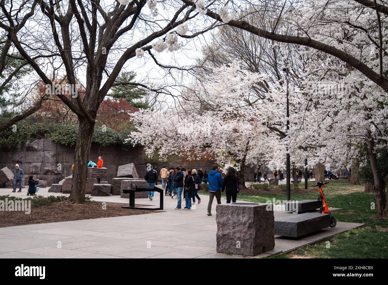 Washington, DC - 22. März 2024: Während der Kirschblütensaison laufen Menschenmassen um das FDR Memorial herum Stockfoto