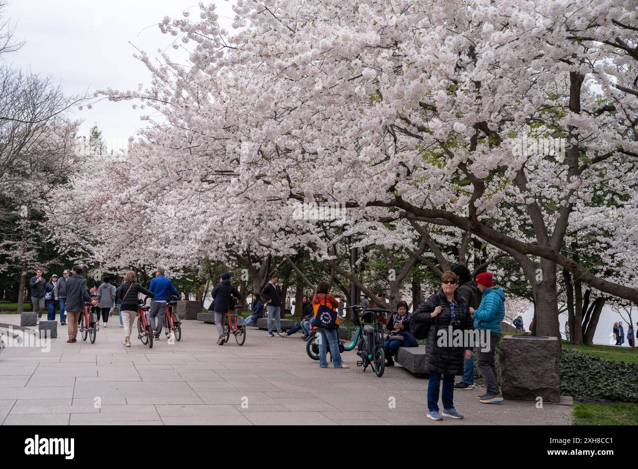 Washington, DC - 22. März 2024: Während der Kirschblütensaison laufen Menschenmassen um das FDR Memorial herum Stockfoto