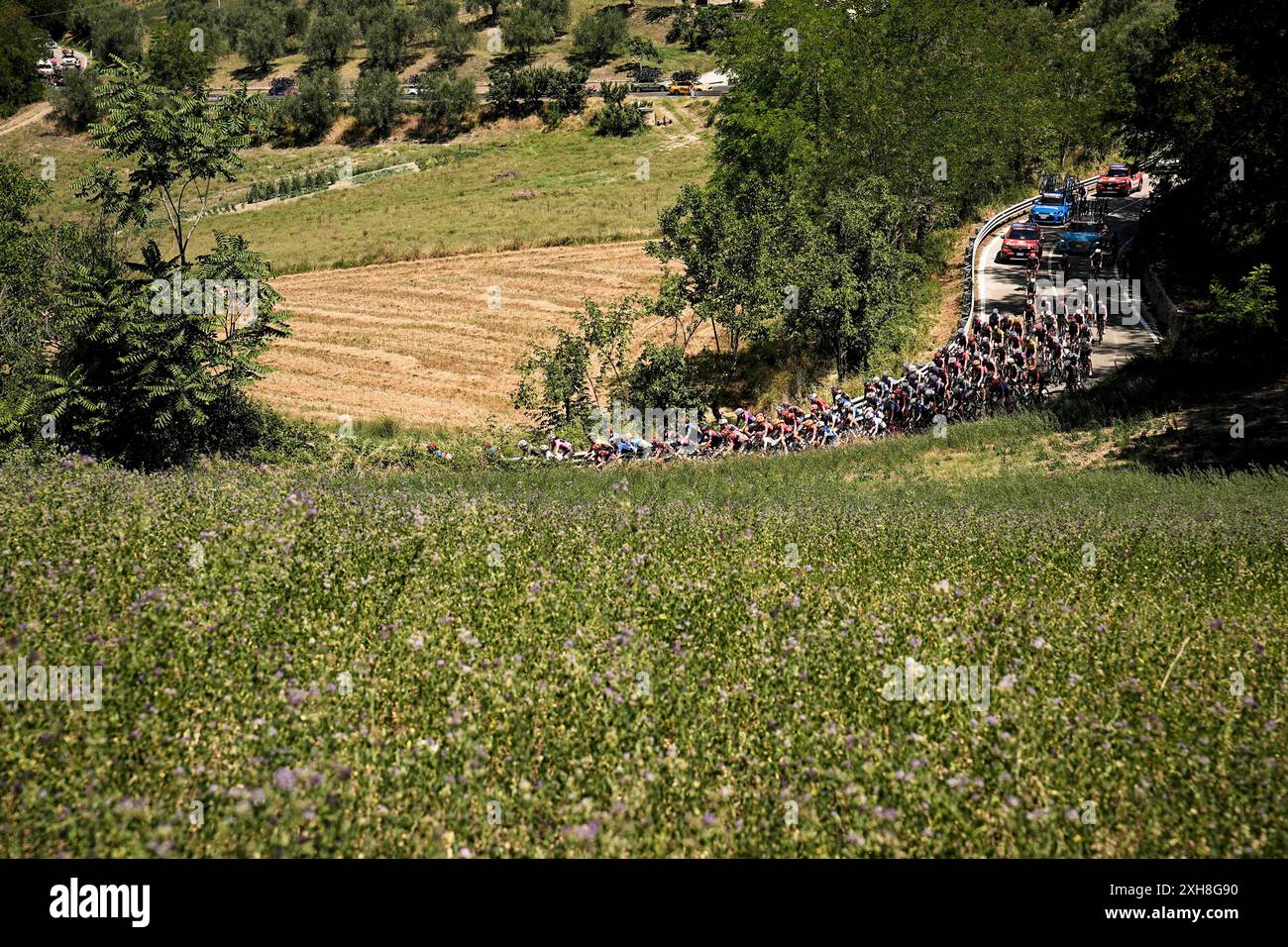 Italia. Juli 2024. Peloton während der 6. Etappe der Giro d’Italia Women, von San Benedetto del Tronto nach Chieti, Italien Freitag, 12. Juli 2024. Sport - Radsport . (Foto: Marco Alpozzi/Lapresse) Credit: LaPresse/Alamy Live News Stockfoto