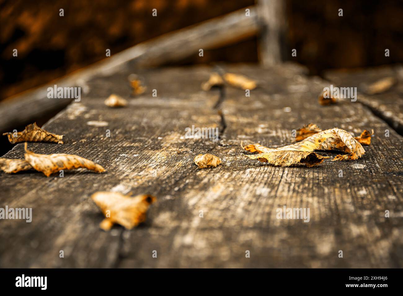 Trocken gefallene Blätter auf einem Holztisch eines Picknickplatzes Stockfoto