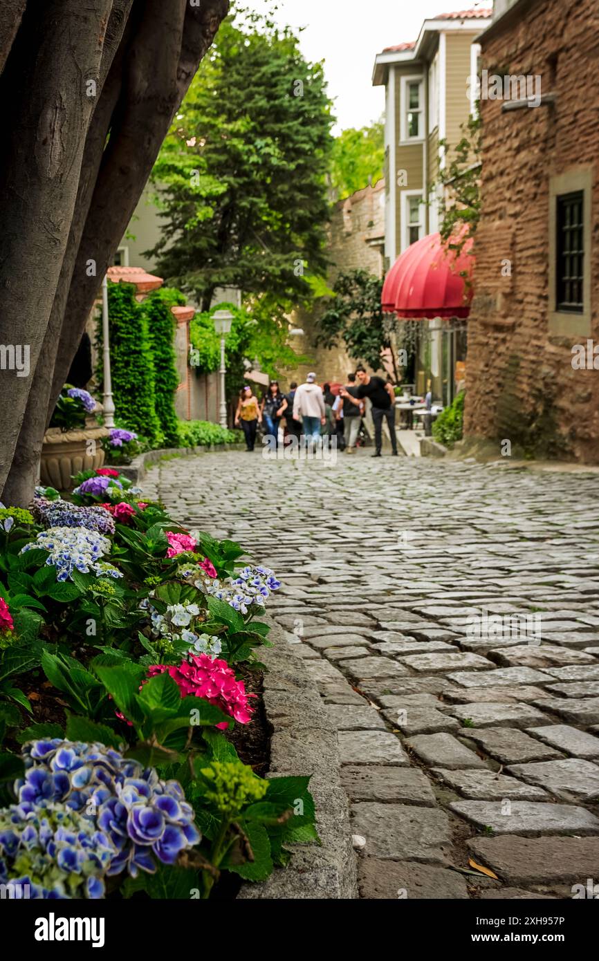 Eine wunderschöne Gasse im historischen Zentrum von Istanbul, in der Nähe des Topkapi-Palastes Stockfoto