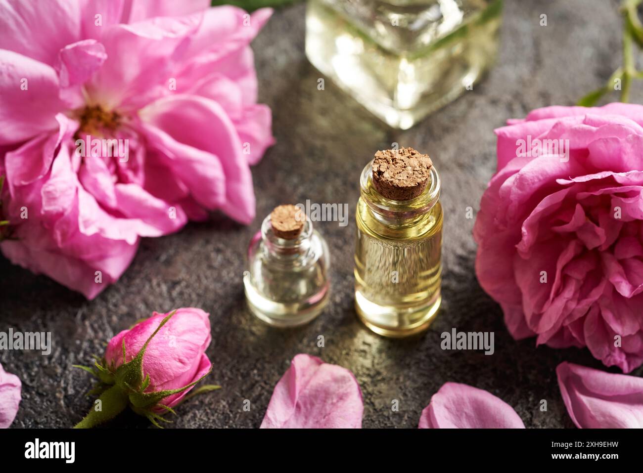 Kohlrosenblüten mit Aromatherapie-ätherischen Ölen Stockfoto