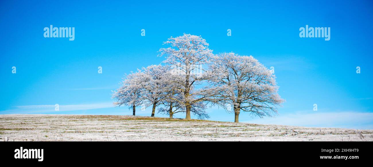 Schneebedeckte Hügel in Buckinghamshire Stockfoto