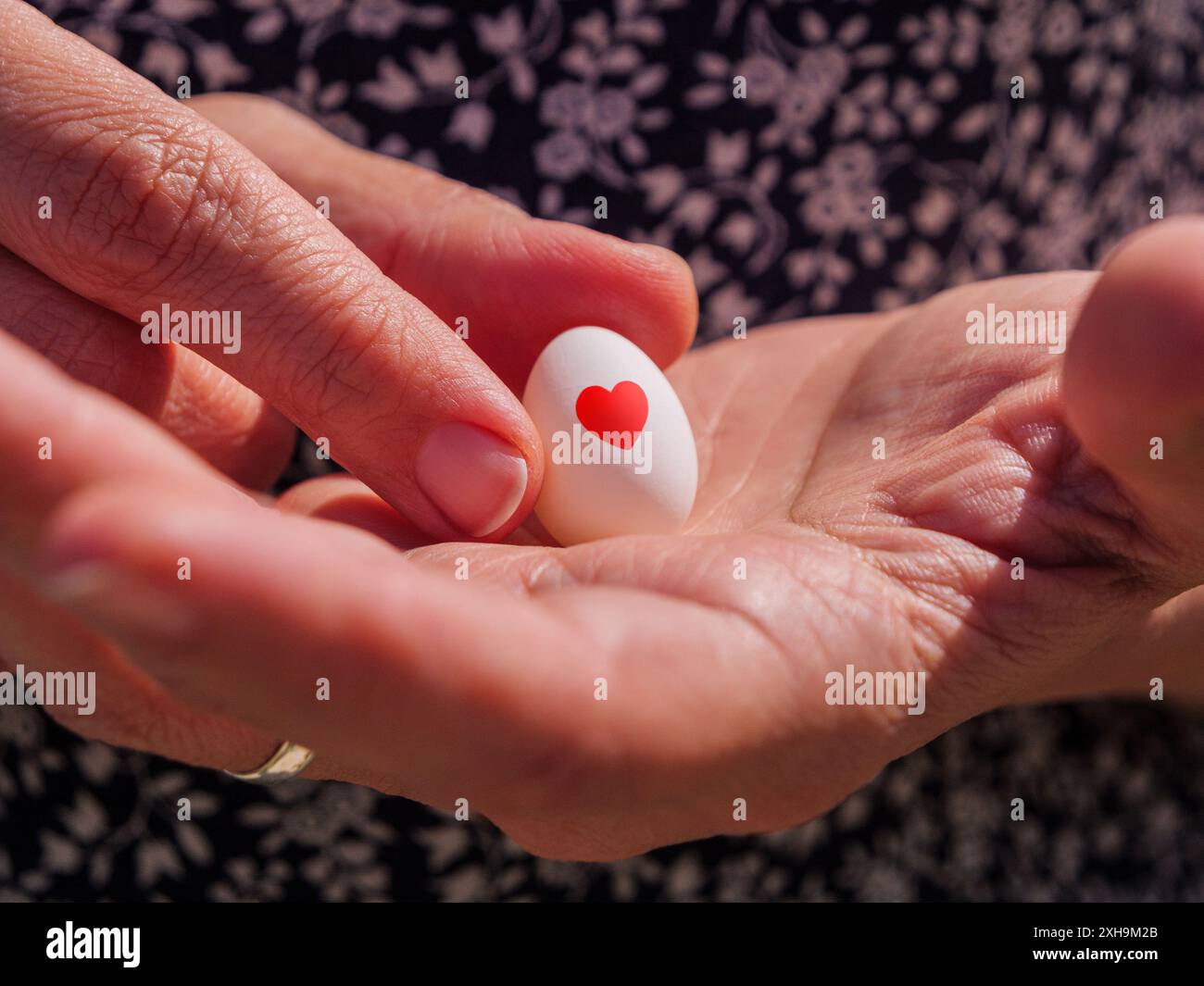 Die Hände einer Frau wiegen sanft ein kleines weißes Ei mit einem roten Herzsymbol und erfassen so das Wesen des neuen Lebens, der Geburt, der Zärtlichkeit, der Mutterschaft oder der Fruchtbarkeit. Stockfoto