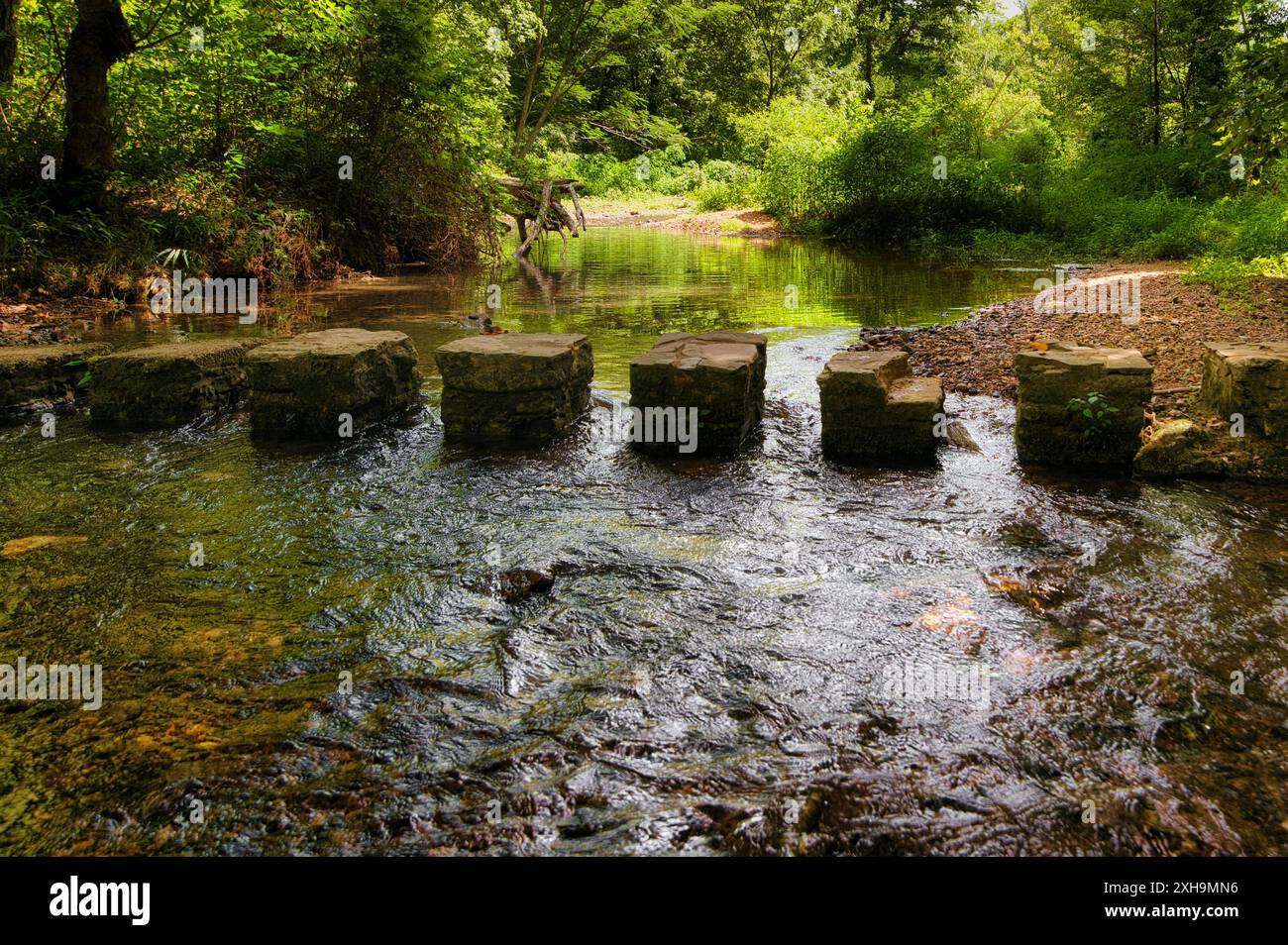 Das kühle, klare Wasser des Colbert Creek bietet eine willkommene Entspannung von einem Sommertag voller Wanderungen. Er befindet sich am Natchez Trace Parkway im Norden A. Stockfoto