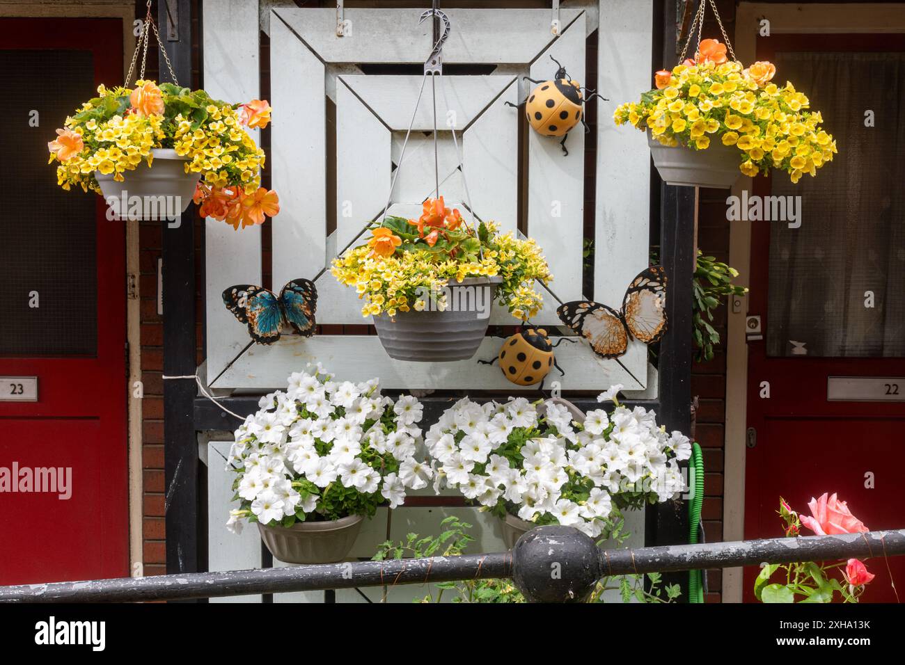 Farbenfrohe Blumenpräsentation in hängenden Körben im Sommer außerhalb des Hauses, England, Großbritannien Stockfoto